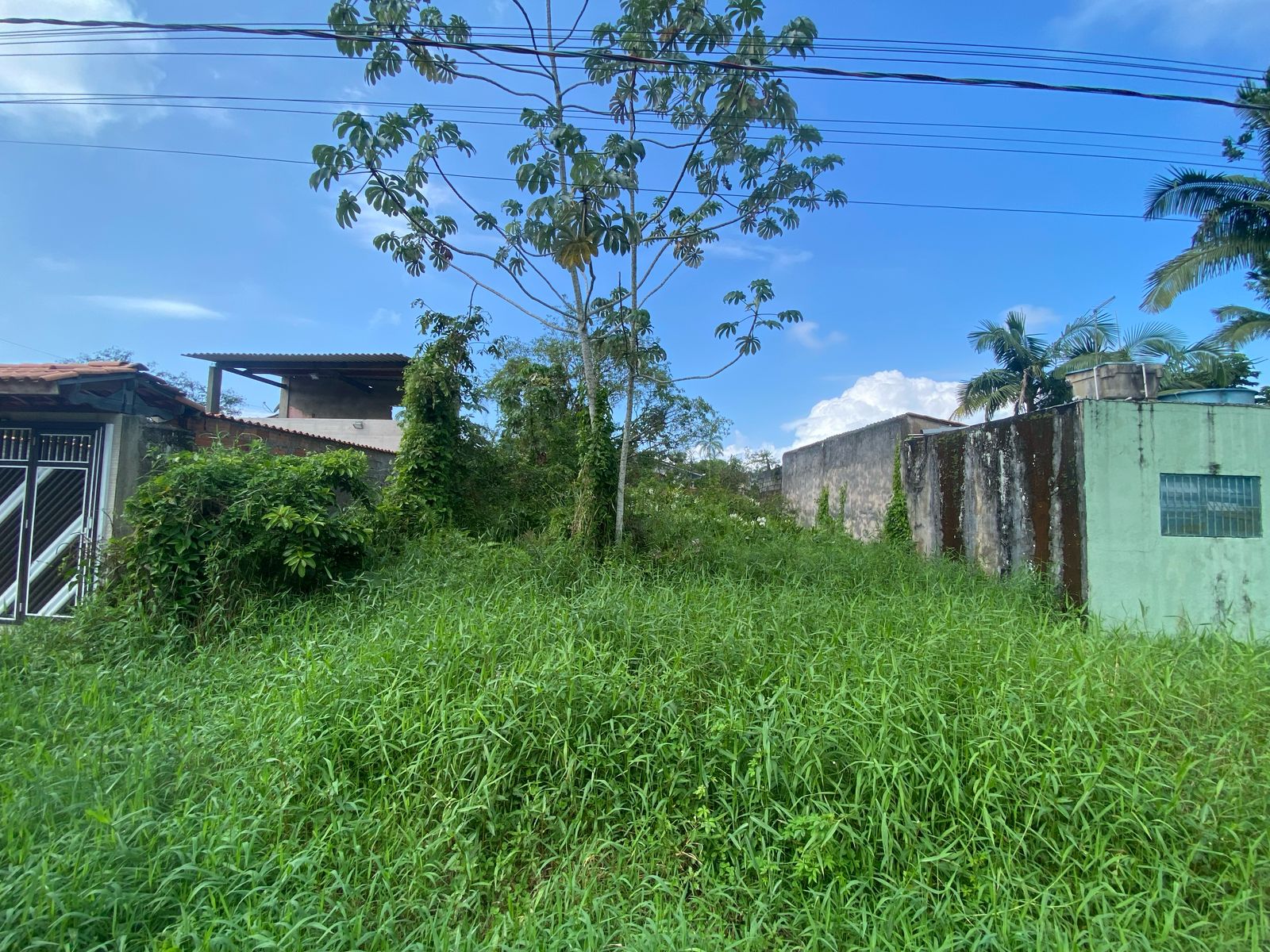 TERRENO NO BAIRRO LUIZAMAR MIRIM - ITANHAÉM/SP - LADO MORRO - 550 METROS DA PISTA. - foto 4