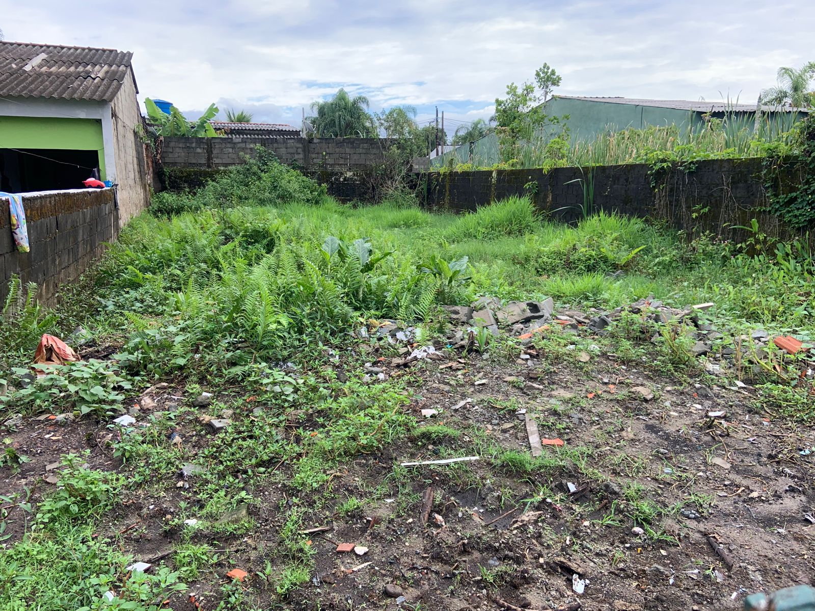 TERRENO COM LIBERAÇÃO AMBIENTAL NO JARDIM DAS PALMEIRAS - ITANHAÉM / SÃO PAULO - LADO PRAIA - 800 METROS DO MAR - foto 2
