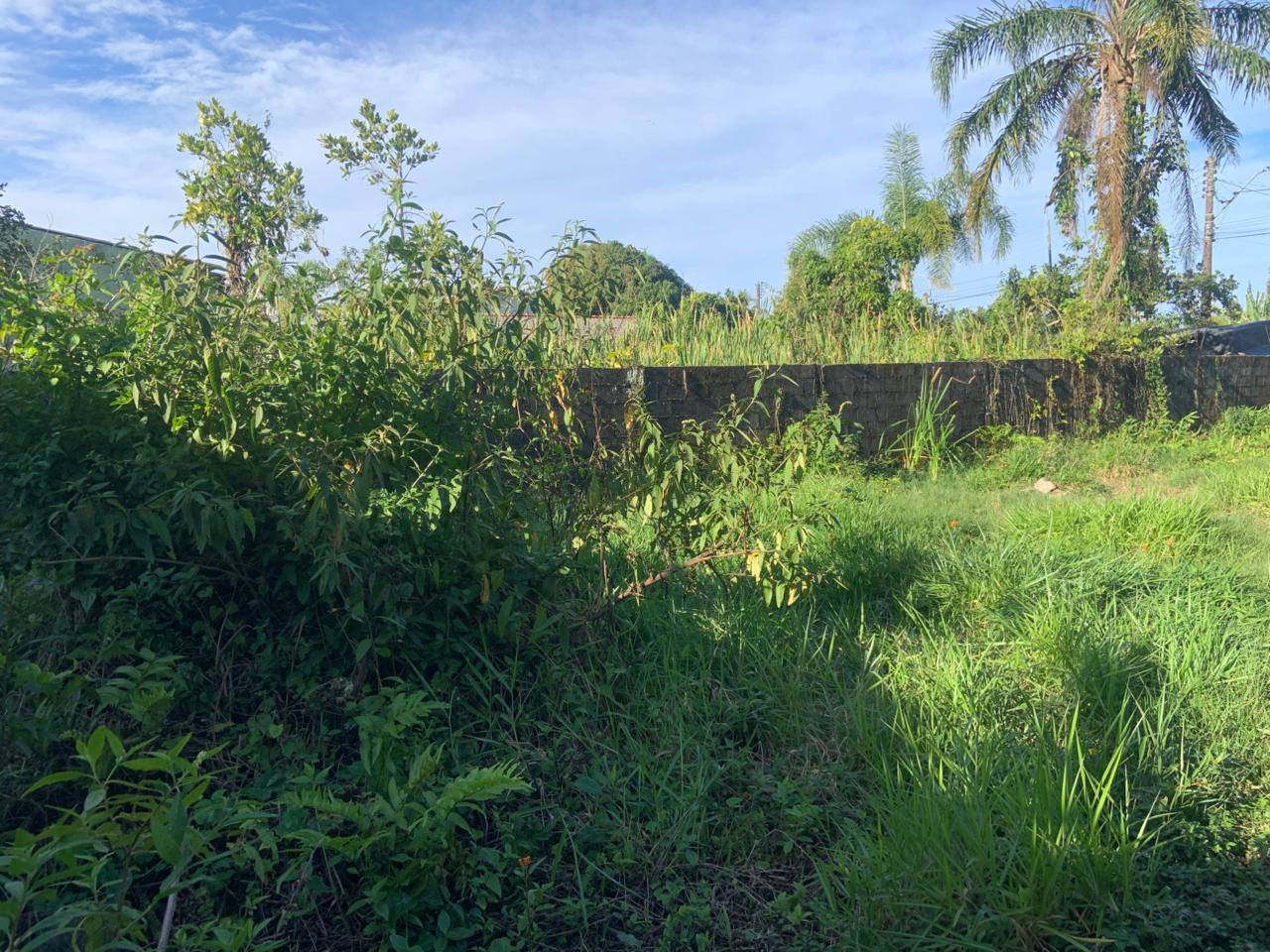 TERRENO COM LIBERAÇÃO AMBIENTAL NO JARDIM DAS PALMEIRAS - ITANHAÉM / SÃO PAULO - LADO PRAIA - 800 METROS DO MAR - foto 10