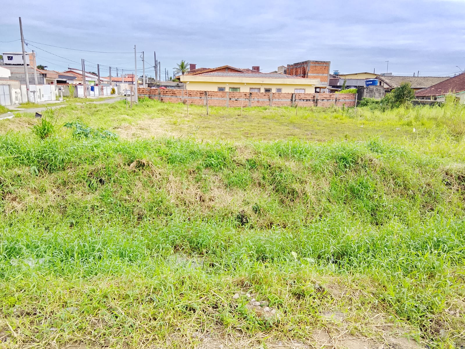 TERRENO COM LICENÇA AMBIENTAL - NO BALNEÁRIO TUPY - LADO PRAIA - 1.200 METROS DO MAR -  ITANHAÉM  - foto 6