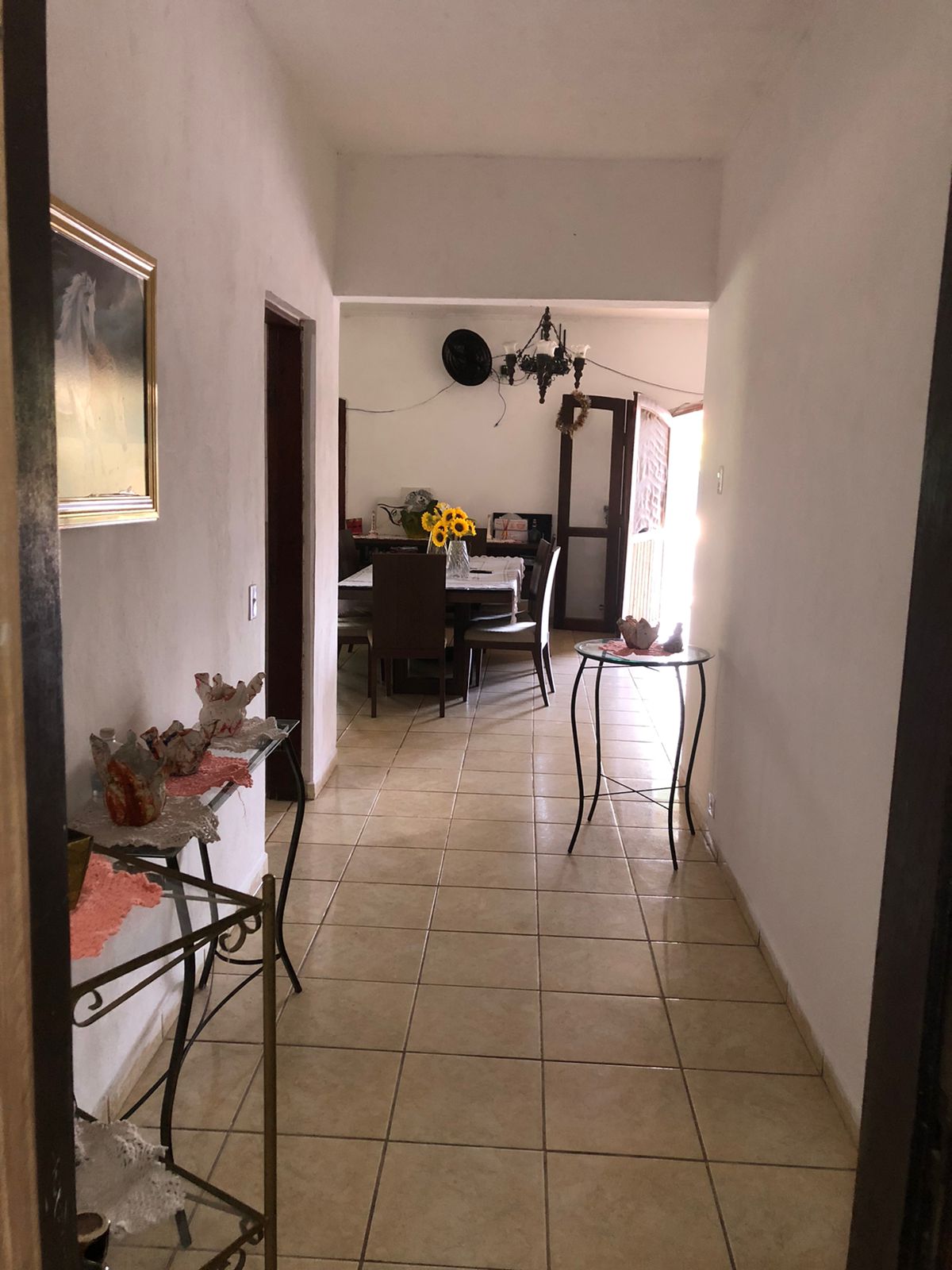 CHACARA NO BAIRRO PARANAPUAN - ITANHAÉM - LADO MORRO - 450 METROS DA RODOVIA - foto 4