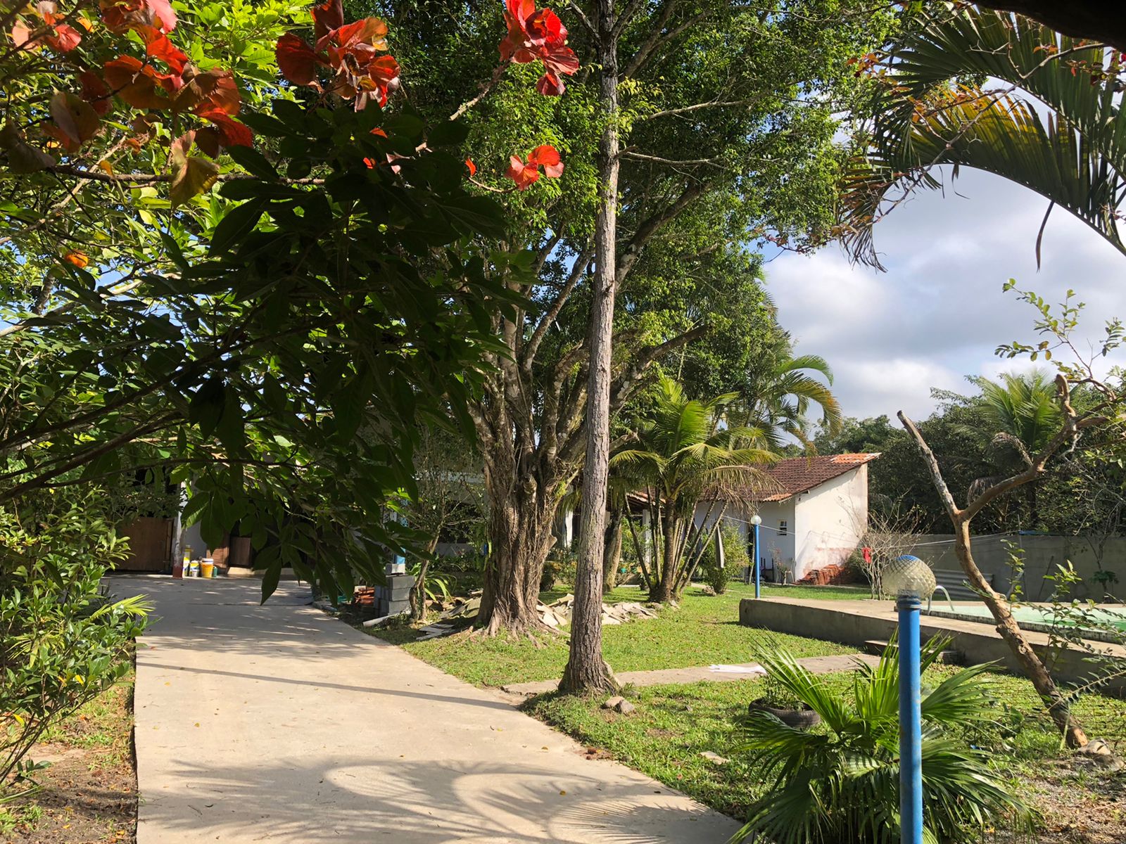 CHACARA NO BAIRRO PARANAPUAN - ITANHAÉM - LADO MORRO - 450 METROS DA RODOVIA - foto 9