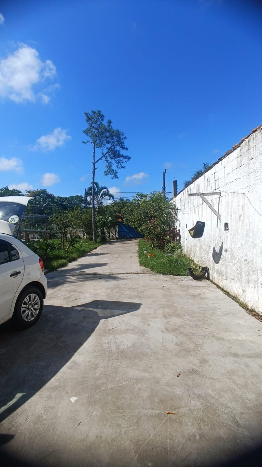 CHACARA NO BAIRRO PARANAPUAN - ITANHAÉM - LADO MORRO - 450 METROS DA RODOVIA - foto 12