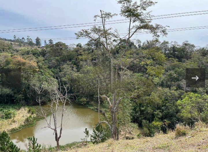 SÍTIO NO CERCADINHO - LAMBARI/SP - foto 18