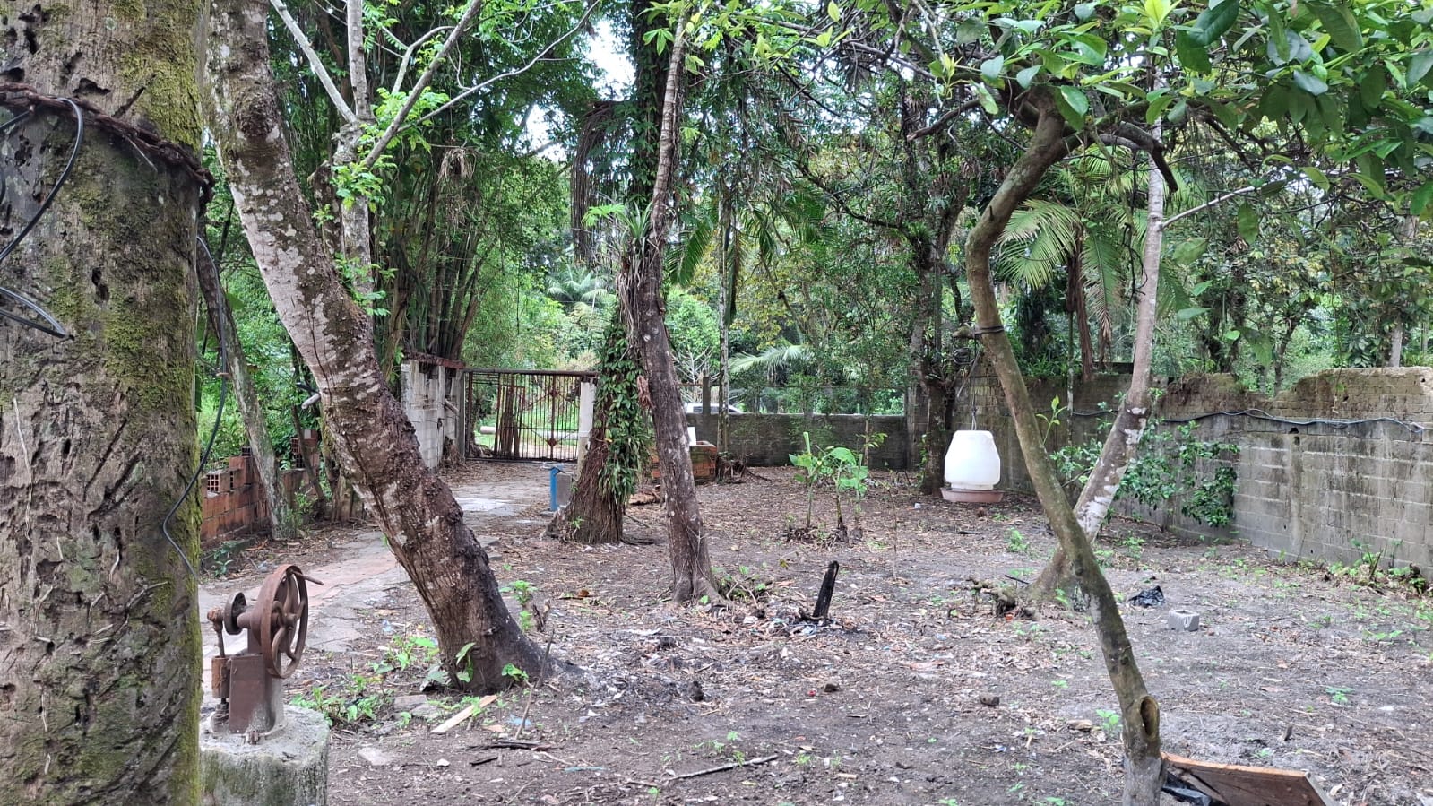 CHÁCARA NO JARDIM RECANTO DOS IMIGRANTES - ITANHAÉM/SP - foto 3