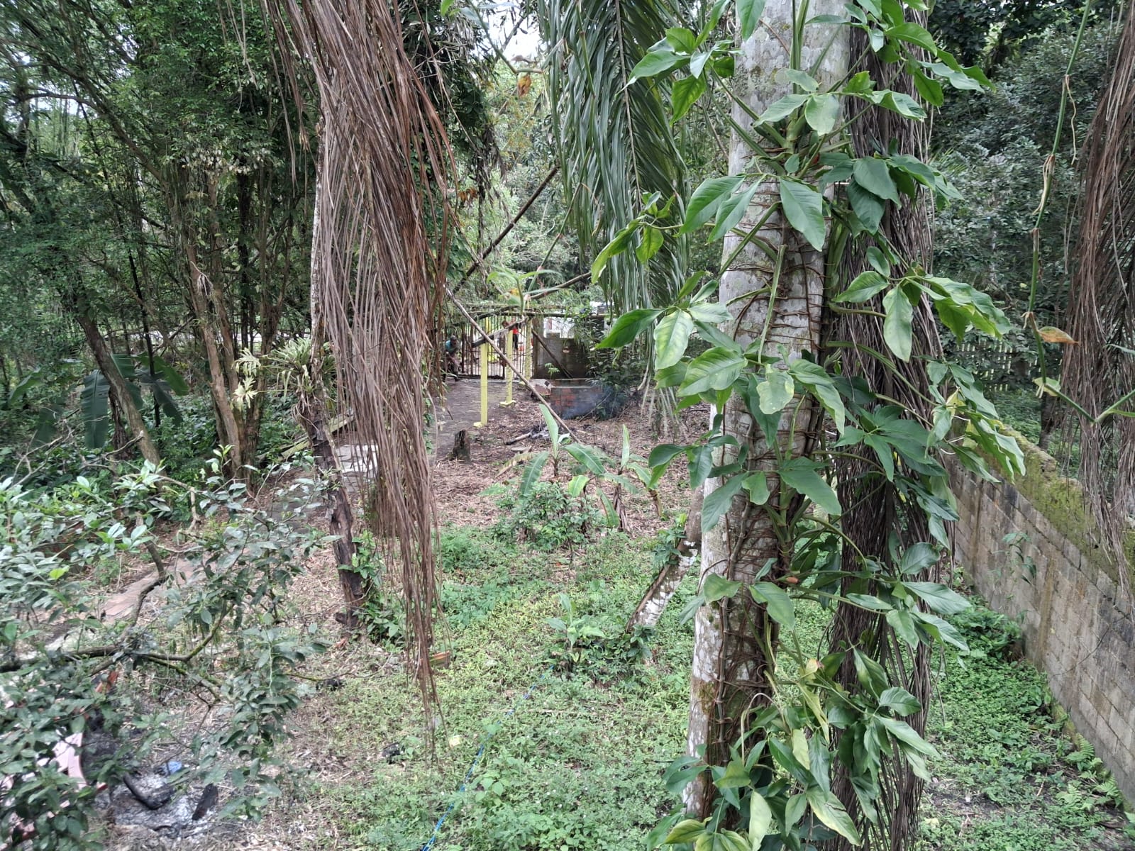 CHÁCARA NO JARDIM RECANTO DOS IMIGRANTES - ITANHAÉM/SP - foto 13
