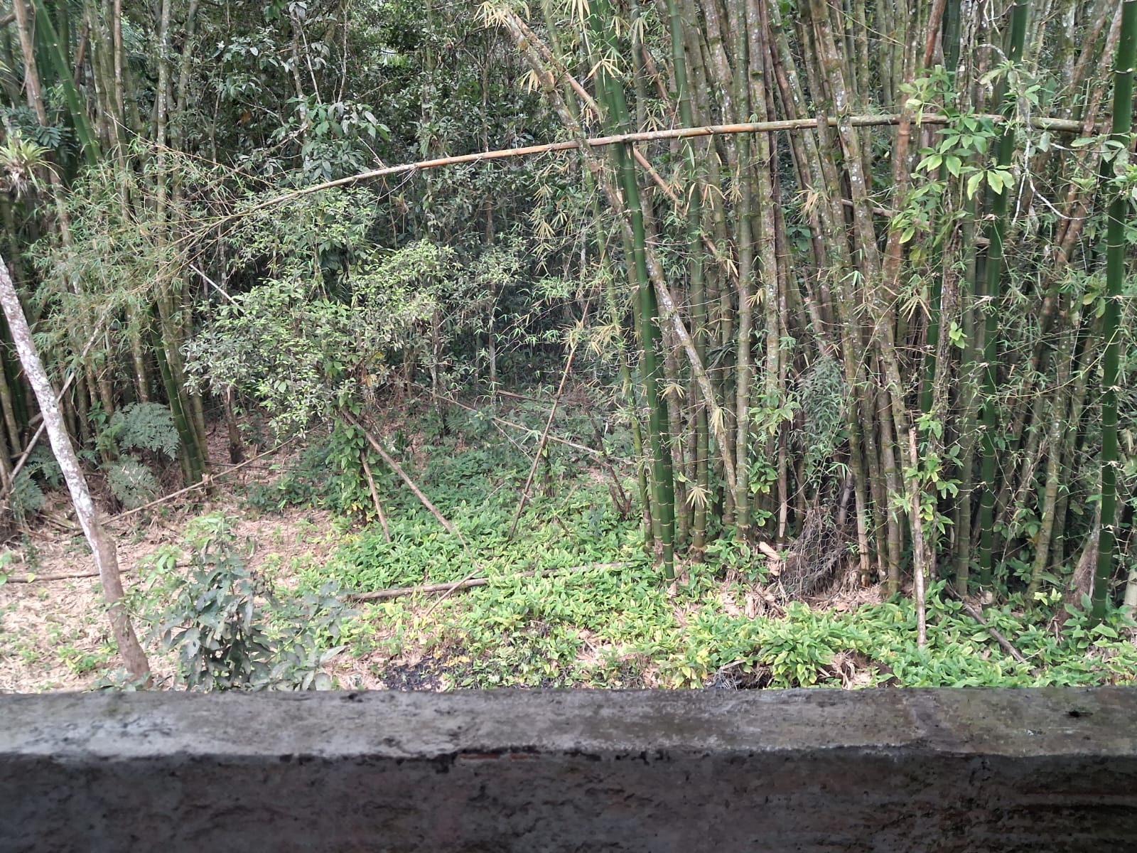 CHÁCARA NO JARDIM RECANTO DOS IMIGRANTES - ITANHAÉM/SP - foto 14