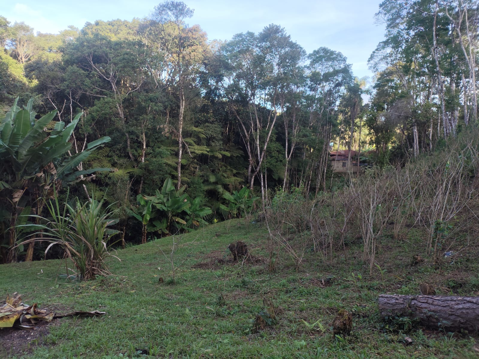 CHÁCARA NA BARRINHA - SÃO LOURENÇO DA SERRA/SP - foto 12